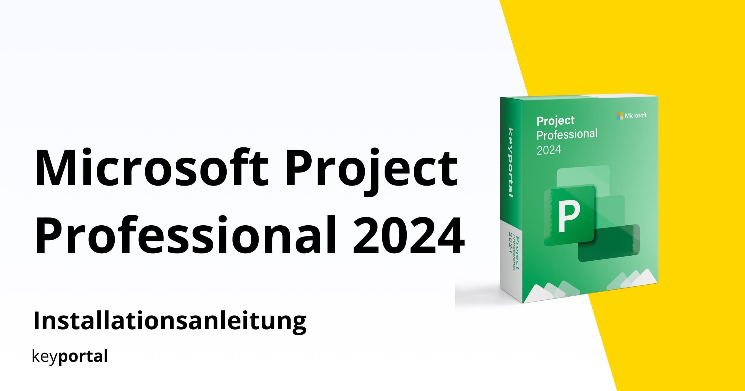 Installationshilfe Project 2024 Professional - keyportal